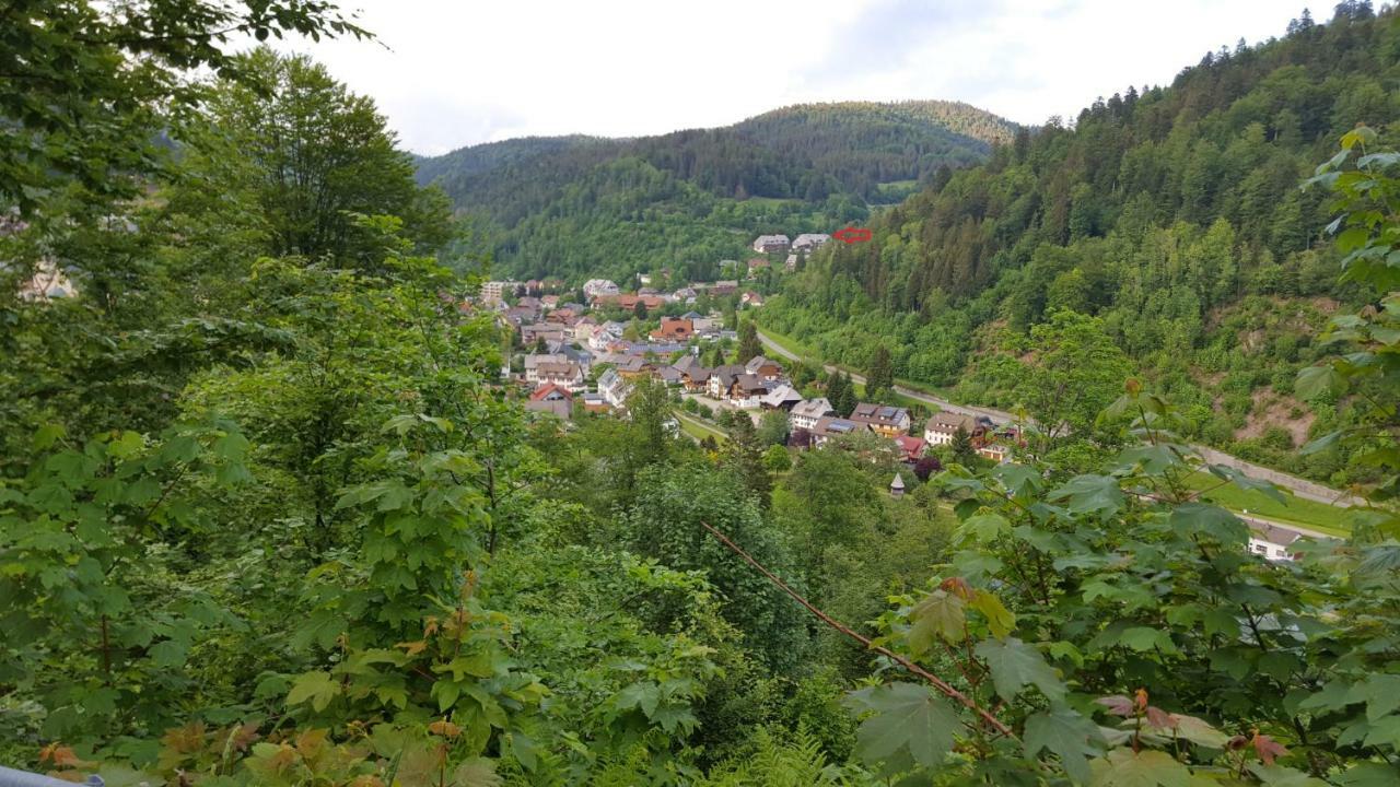 Ferienwohnung Im Schwarzwald Тодтмос Экстерьер фото